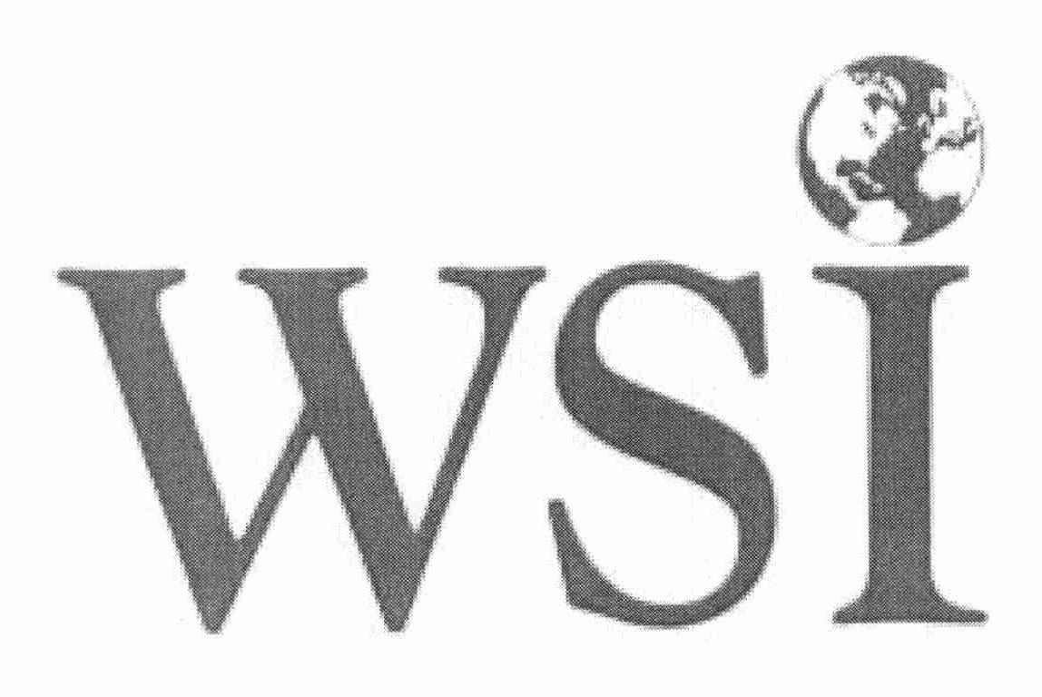 Trademark Logo WSI