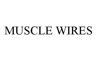  MUSCLE WIRES