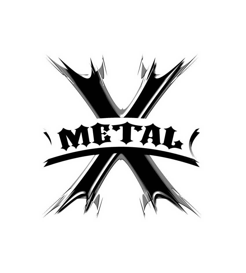 Trademark Logo METAL