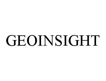  GEOINSIGHT