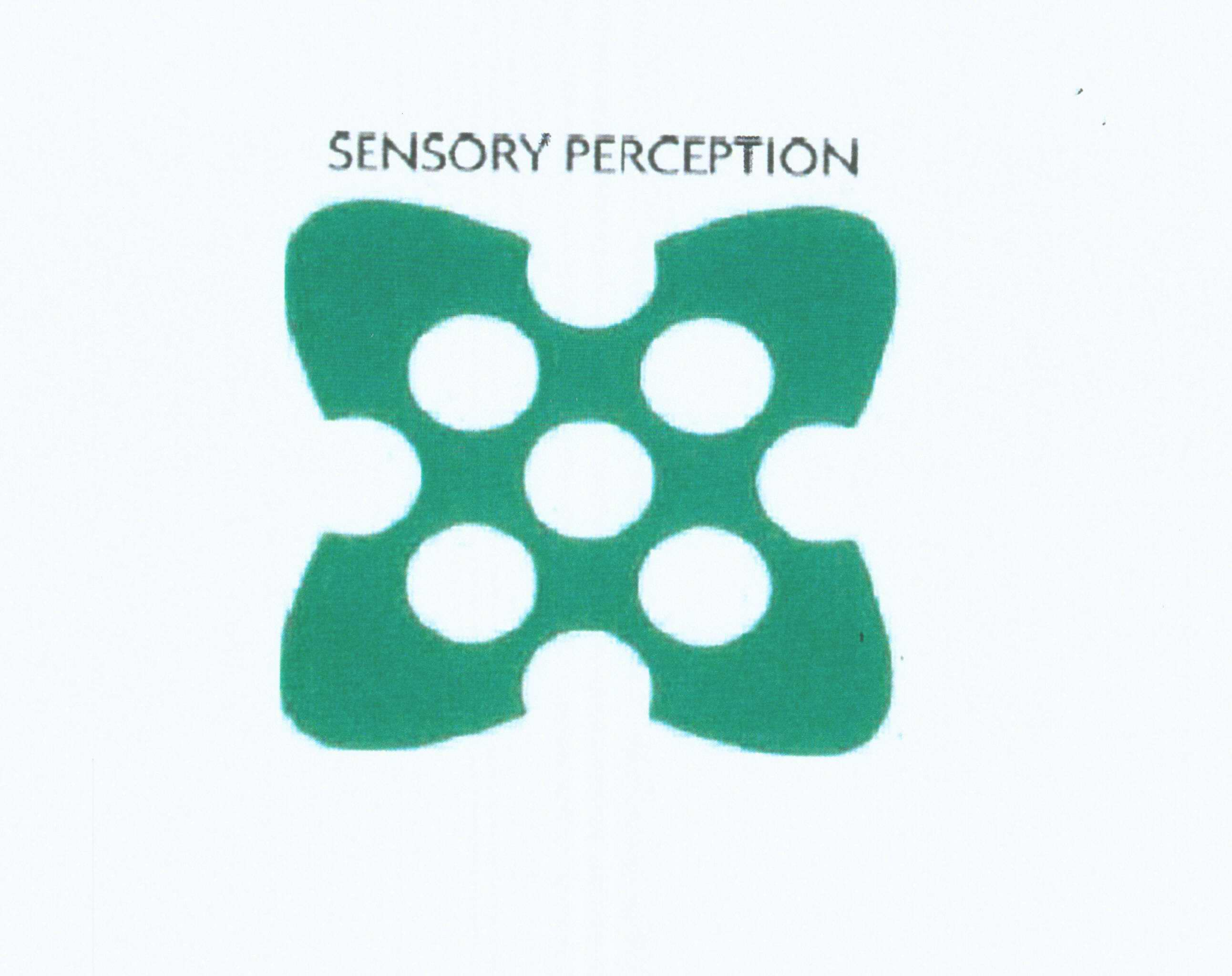  SENSORY PERCEPTION