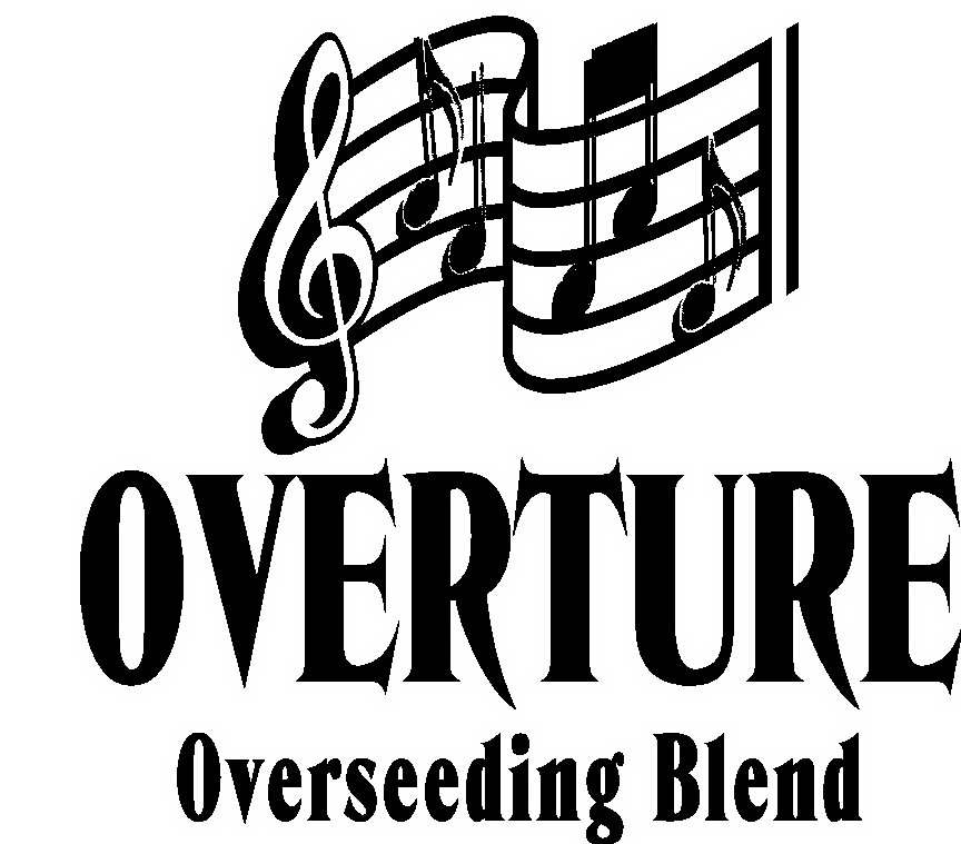  OVERTURE OVERSEEDING BLEND