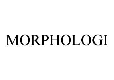  MORPHOLOGI