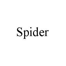  SPIDER