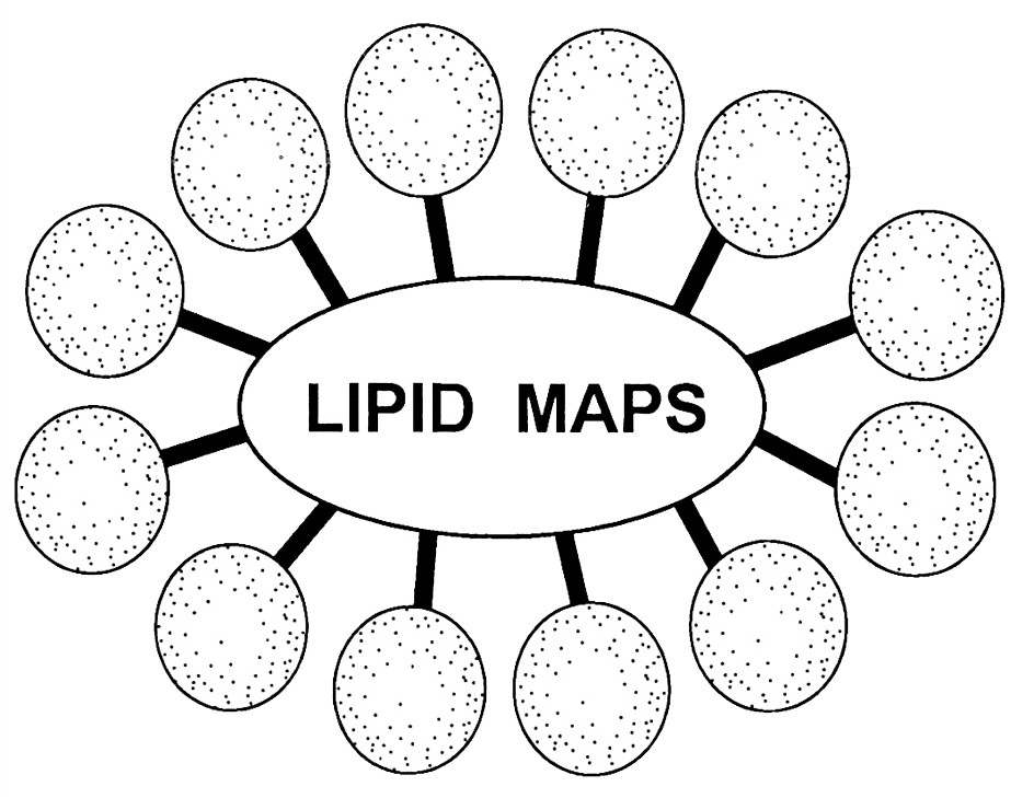 Trademark Logo LIPID MAPS
