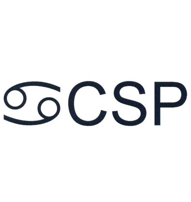  CSP