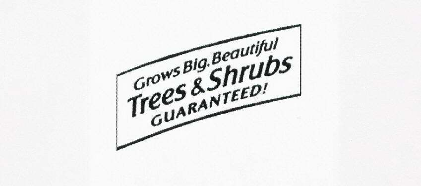  GROWS BIG, BEAUTIFUL TREES &amp; SHRUBS GUARANTEED!