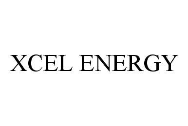  XCEL ENERGY