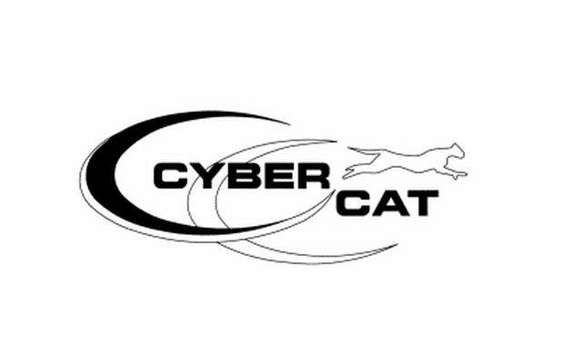  CC CYBER CAT