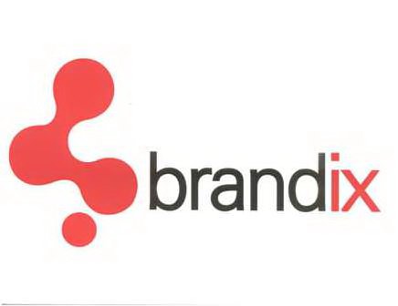 Trademark Logo BRANDIX