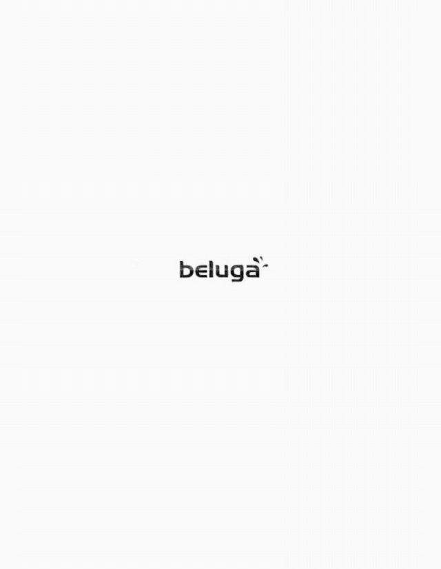  BELUGA