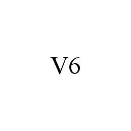  V6