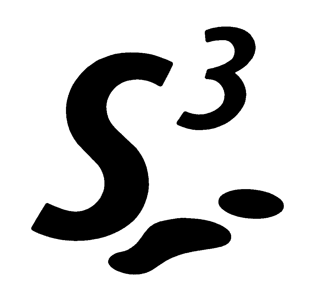  S3