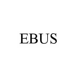  EBUS