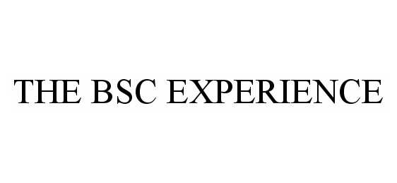  THE BSC EXPERIENCE