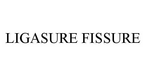 Trademark Logo LIGASURE FISSURE