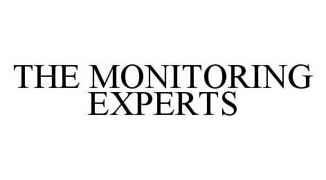  THE MONITORING EXPERTS