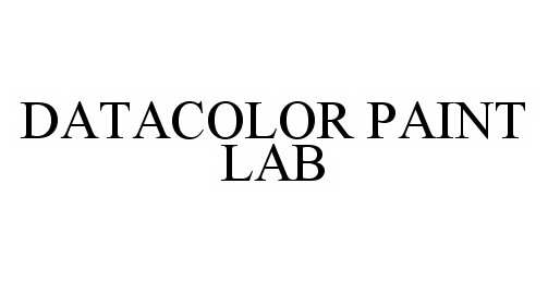  DATACOLOR PAINT LAB