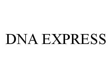  DNA EXPRESS