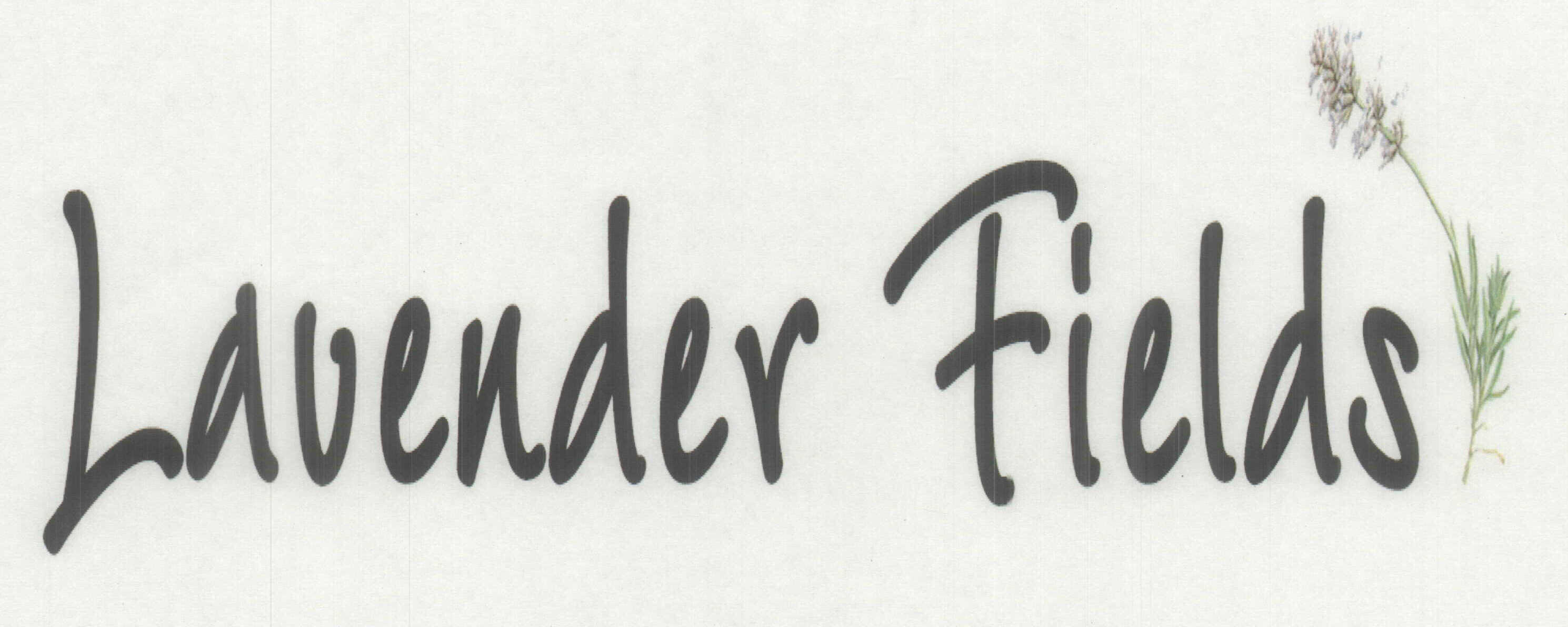 Trademark Logo LAVENDER FIELDS