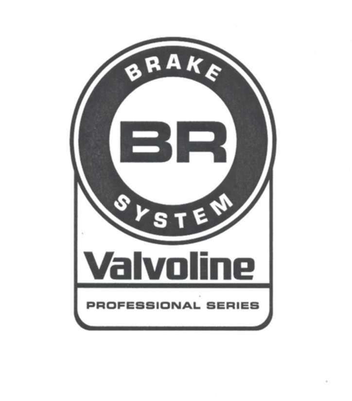  BR BRAKE SYSTEM VALVOLINE PROFESSIONAL SERIES