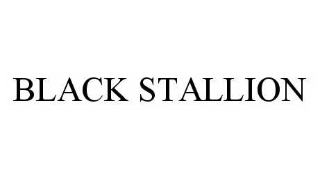 BLACK STALLION
