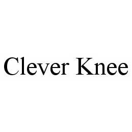  CLEVER KNEE