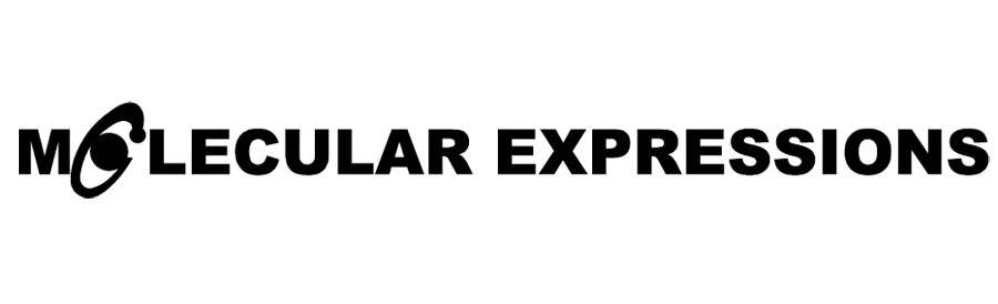 Trademark Logo MOLECULAR EXPRESSIONS