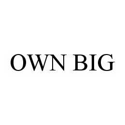 Trademark Logo OWN BIG