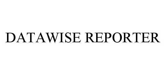 Trademark Logo DATAWISE REPORTER