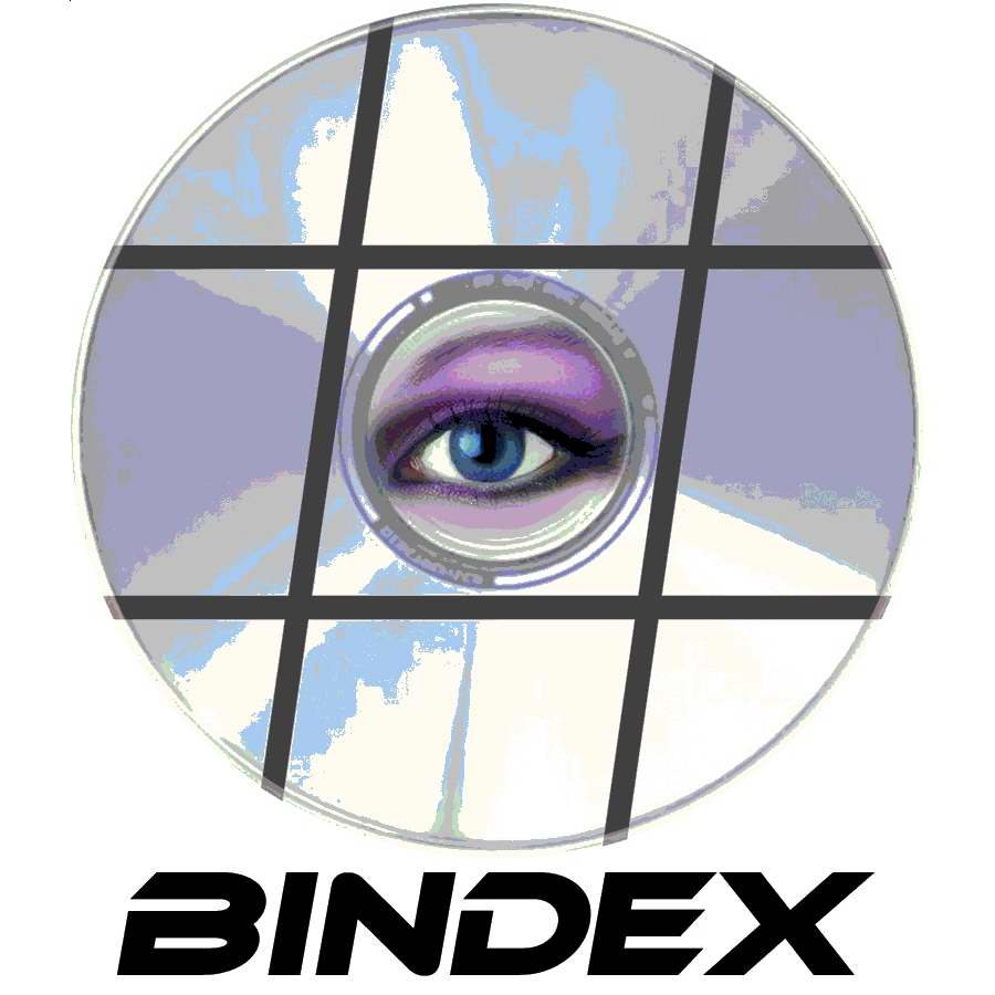 Trademark Logo BINDEX
