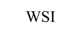 Trademark Logo WSI