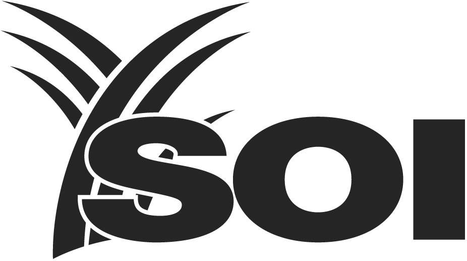 Trademark Logo SOI