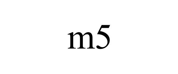  M5