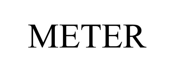 Trademark Logo METER