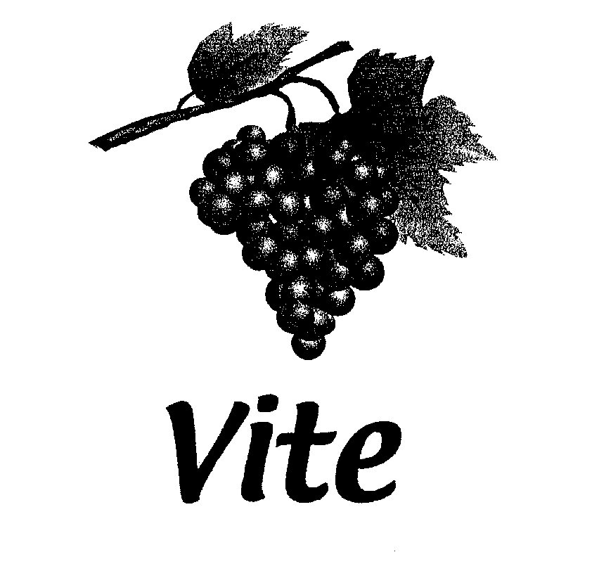 Trademark Logo VITE