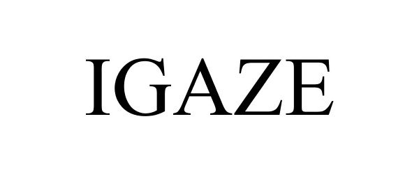  IGAZE