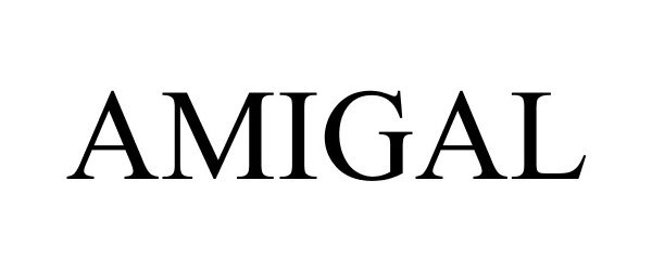 Trademark Logo AMIGAL