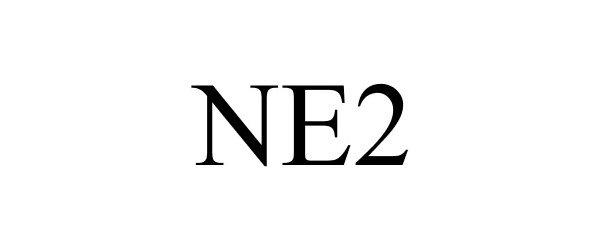  NE2