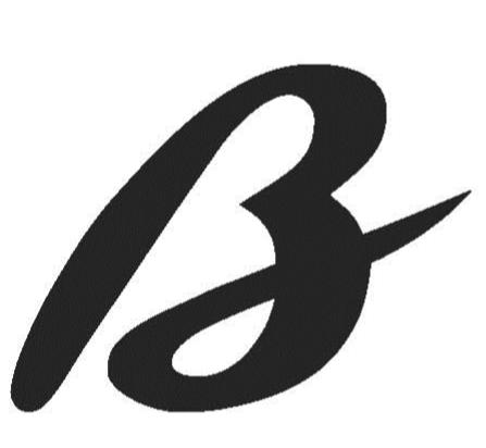 Trademark Logo B