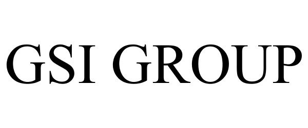  GSI GROUP