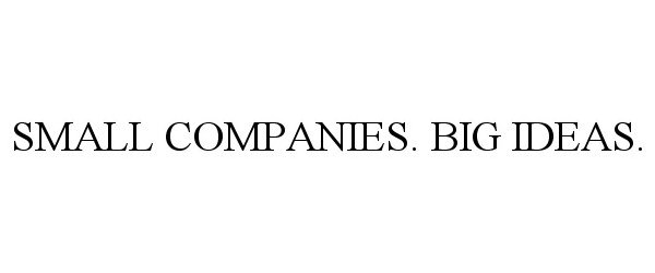  SMALL COMPANIES. BIG IDEAS.