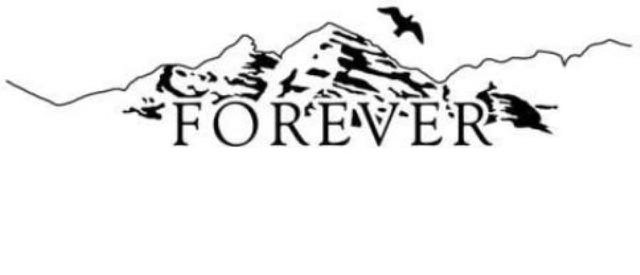  FOREVER