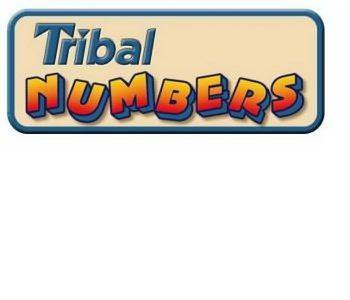 Trademark Logo TRIBAL NUMBERS