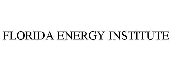  FLORIDA ENERGY INSTITUTE