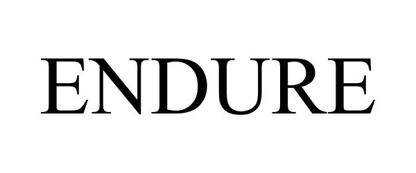 Trademark Logo ENDURE