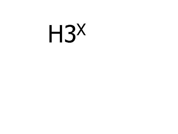 Trademark Logo H3X