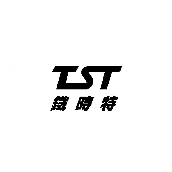 Trademark Logo TST