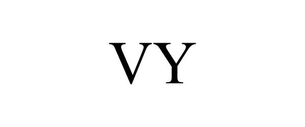 Trademark Logo VY