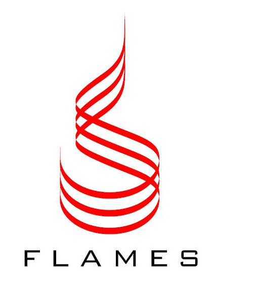 Trademark Logo FLAMES